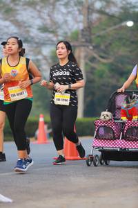 BIB: 10182, 17244
                            <button type="button" onclick="openModal(10040035)" class="btn btn-primary btn-sm float-right btn-popup" data-toggle="modal" data-target=".modal-high-quality">
                        <i class="fas fa-shopping-cart"></i> Add to Cart
                    </button>
                                            <button type="button" onclick="isThisMe(10040035, true)" class="btn btn-success btn-sm float-right btn-popup btn-isme hidden" data-toggle="tooltip" data-placement="bottom" title="นี่คือรูปของคุณใช่ไหม คลิกที่นี่เพื่อเอาเข้าอัลบั้ม">
                        <i class="fas fa-plus"></i> Add to album
                    </button>
                    <button type="button" onclick="isThisMe(10040035, false)" class="btn btn-warning btn-sm float-right btn-popup btn-isnotme hidden">
                        <i class="fas fa-ban"></i> Remove from album
                    </button>